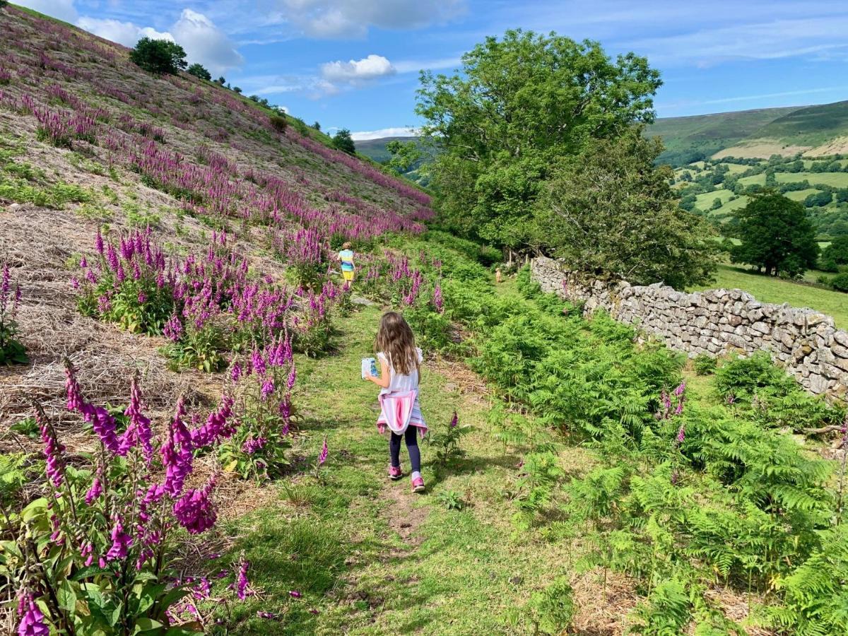 Black Mountains Stylish Hideaway, Nr Crickhowell Llanbedr  Exterior foto